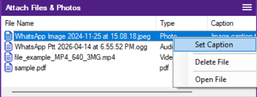 Media Caption Setup Menu